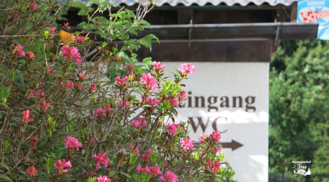 Sonniger Start in die Sommersaison